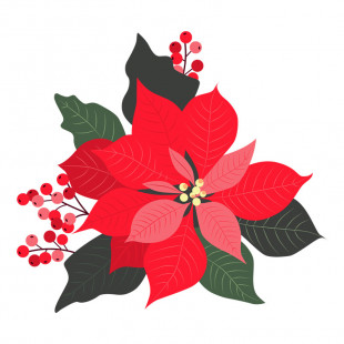 Stella di Natale 2019