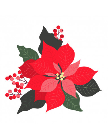 Stella di Natale 2019