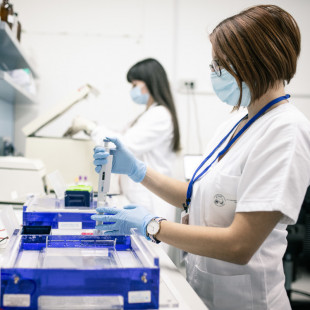 1500€ per una Borsa di Studio