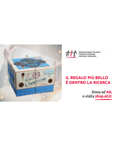 Panettone IDB da 1 kg.